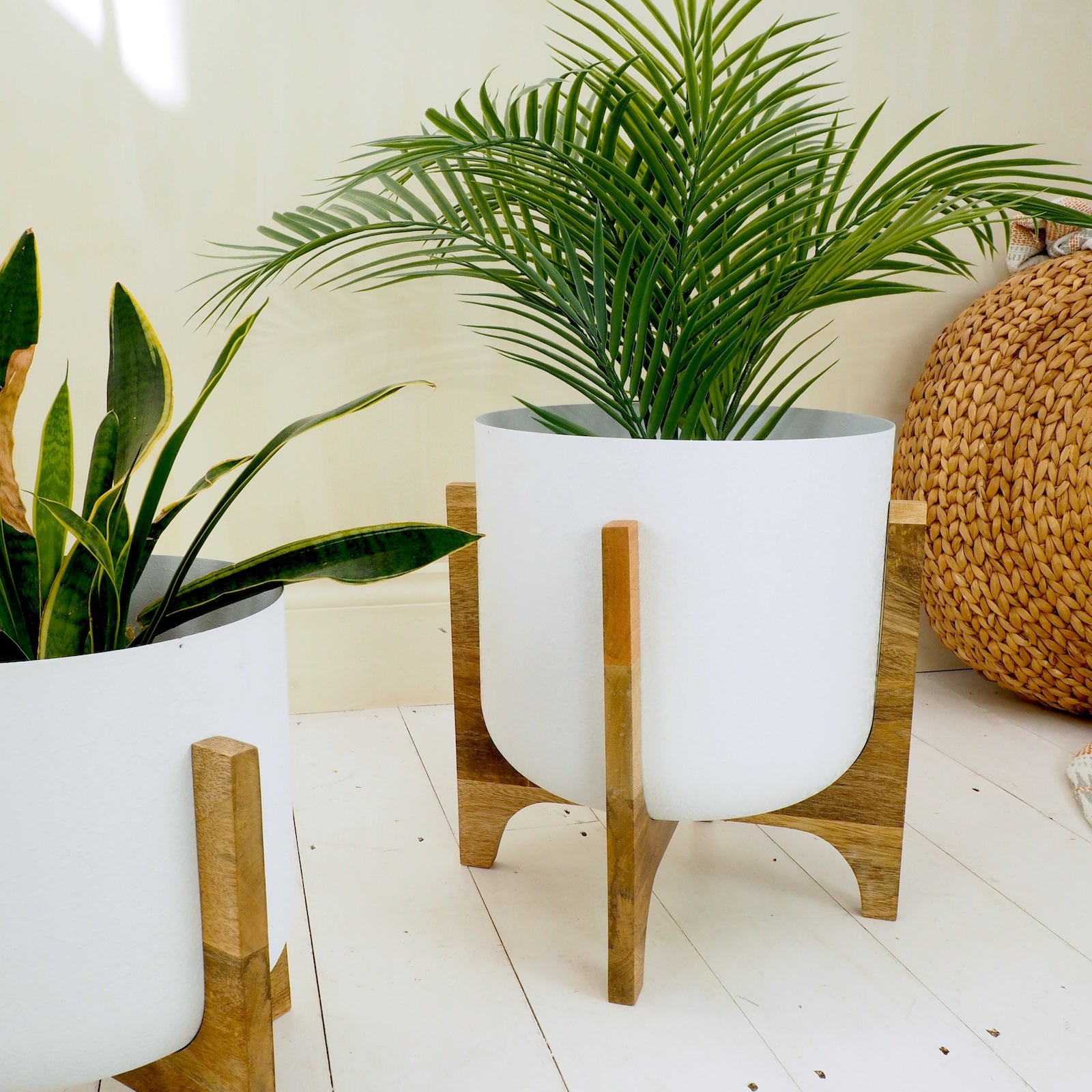 set of two white plant stands with wooden base. green plants in pots