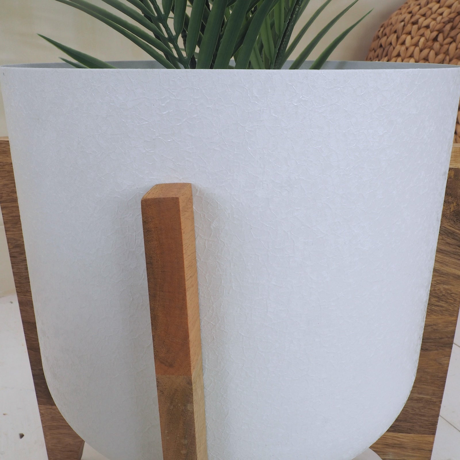 detailed photo of white plant pot with green plant