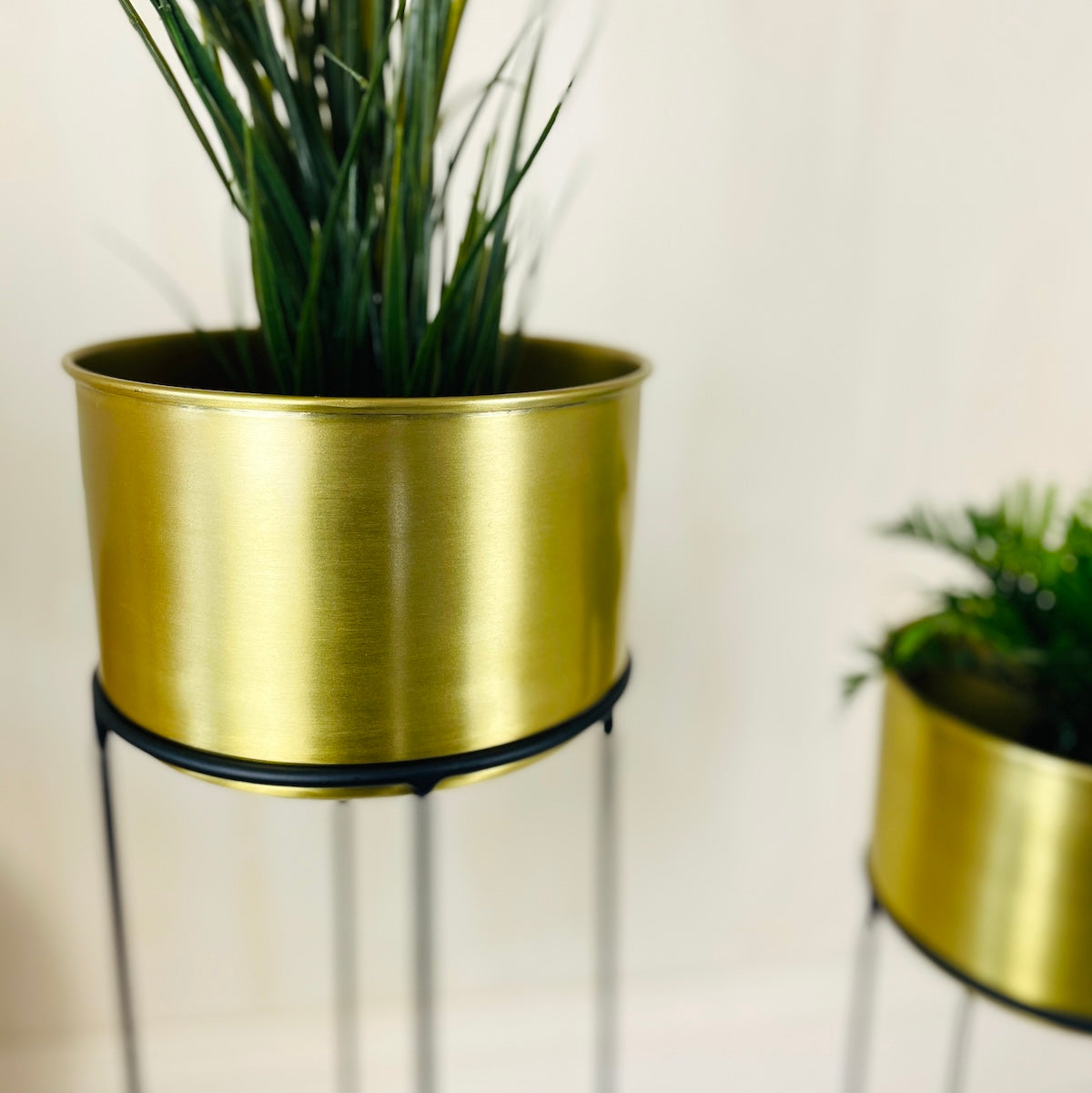 gold plant pot on stand with green plant