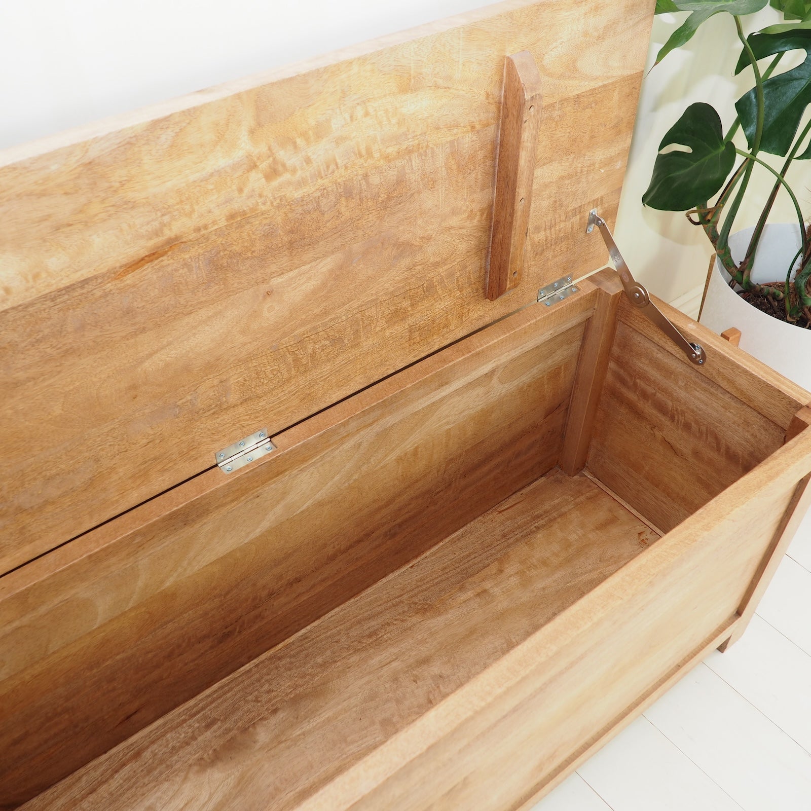 Wooden Storage trunk with lid open an plant