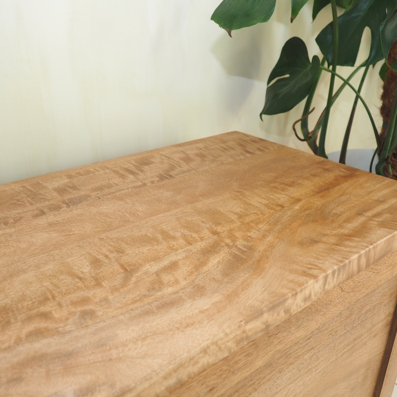 Wooden storage trunk with plant