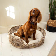 Wicker dog bed round with cocker spaniel on white wooden floor