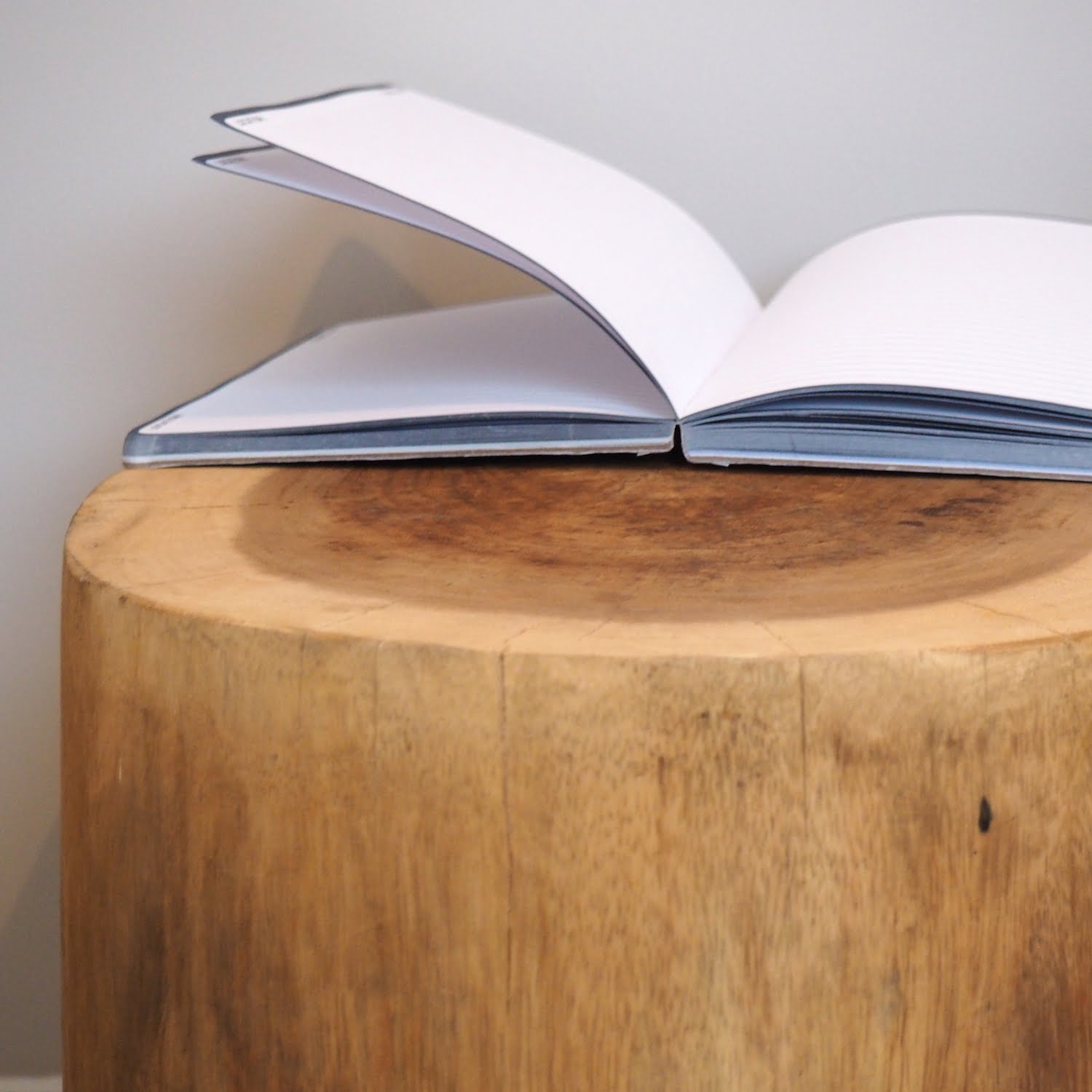 Solid Log Coffee Table