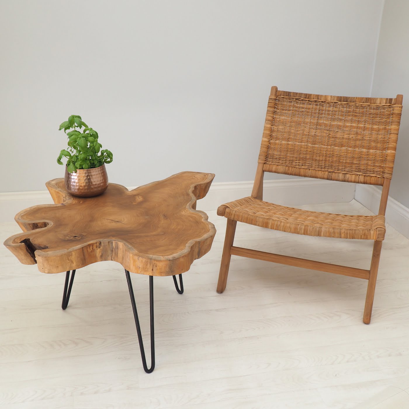 Rustic Wood Slice Coffee Table on Hairpin Legs with Plant