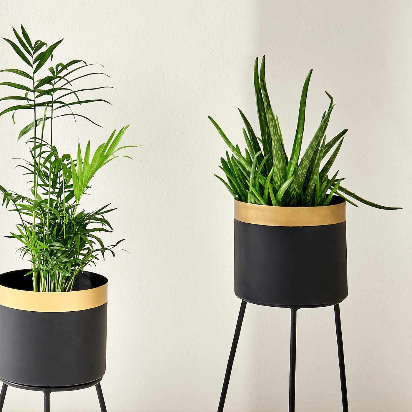 Plant pot stand set 2