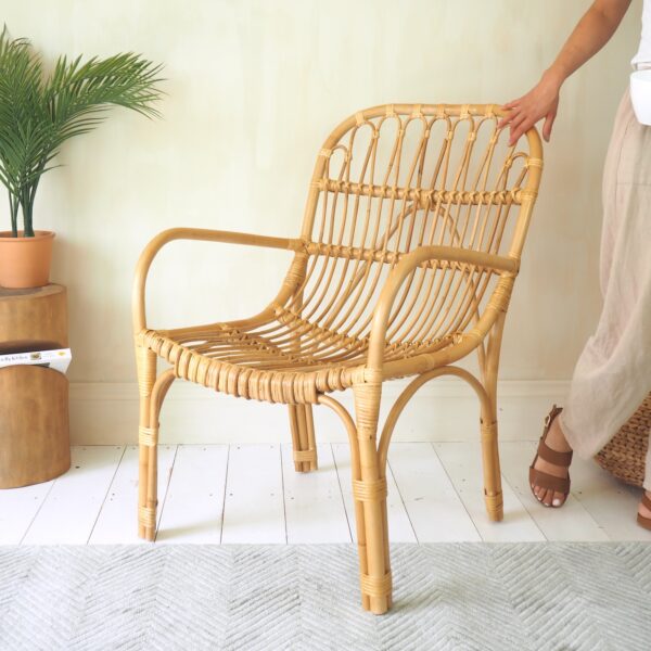 Rattan arm chair in living room with rustic table and plant