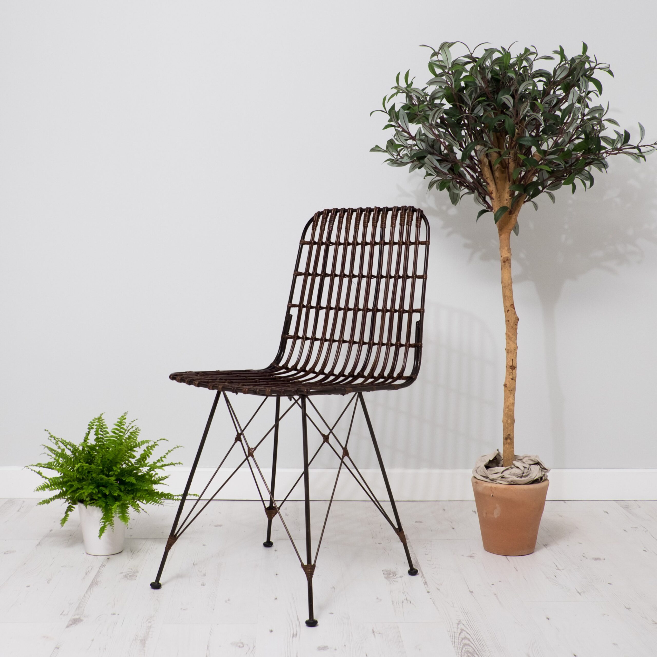 Wicker brown dining chair on white floor with olive tree and potted plant