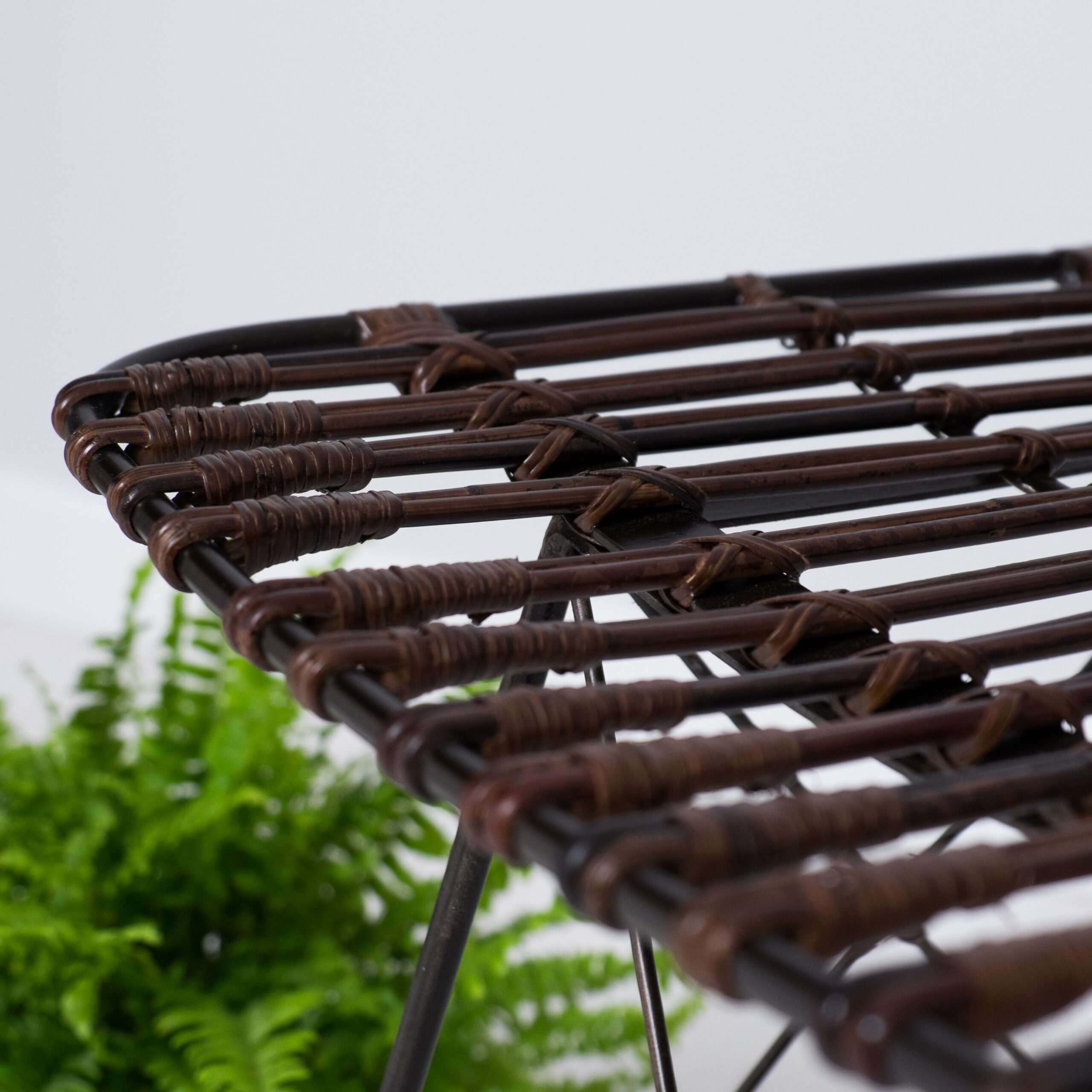 Closeup of brown wicker dining chair with fern behind