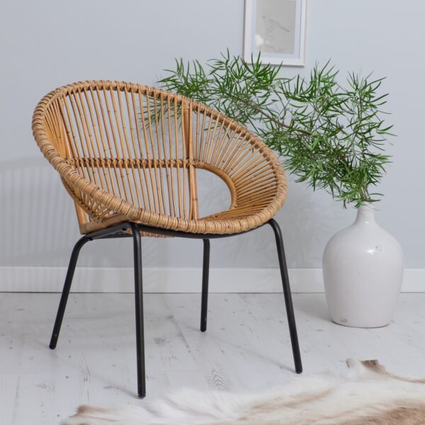 bamboo arm chair with rug and tree plant in pot