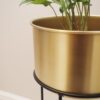 Plant pot stand indoor