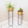 Tall plant stand indoor