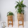Plant stand indoor bamboo