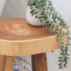 rustic coffee table close up with plant