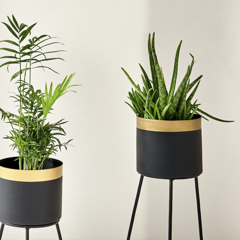 Black Metal Plant Stand - ZaZa Homes