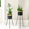 Home Accessories - Black Indoor Planter Stand