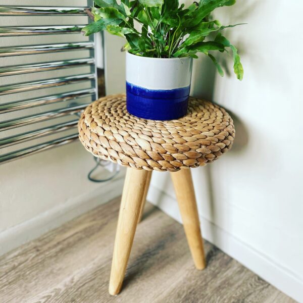 wooden wicker stool in bathroom with plant pot