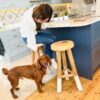 Rustic Wood Kitchen Stool with Dipped Legs
