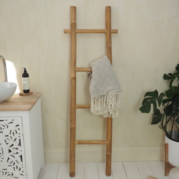 Bamboo Ladder with plant
