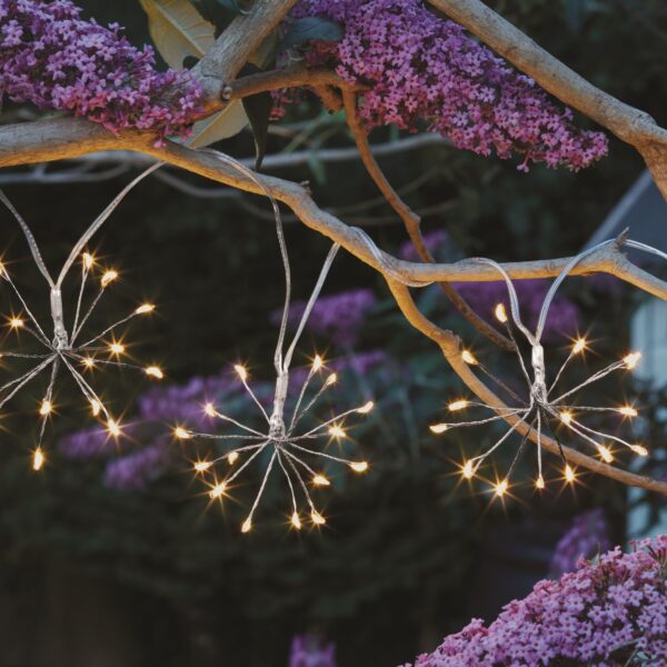starburst solar lighting at night on branch with flowers