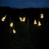 solar powered garden lightbulbs at night on poles