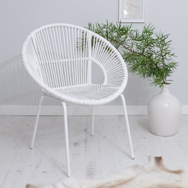 white arm chair with green plant and rug