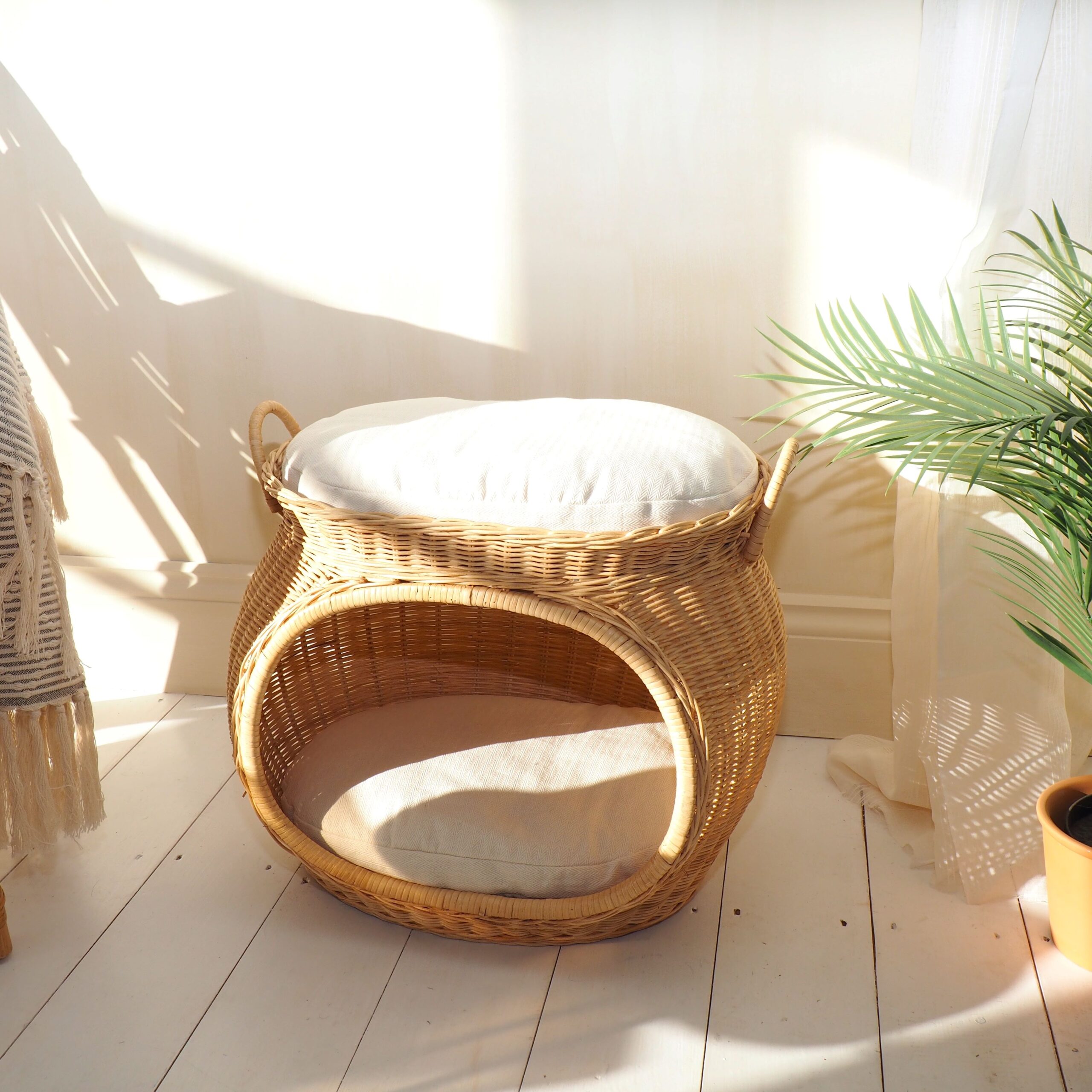 Wicker cat basket on sunny wooden floor