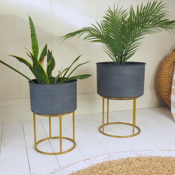 grey plant pot in brass plant stand with wicker rug in living room