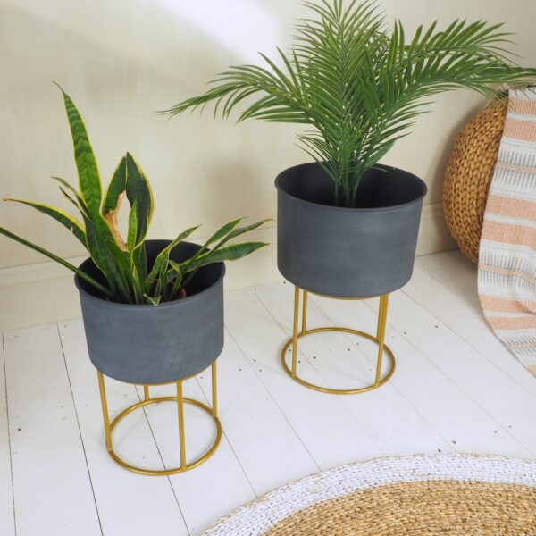 Set of two grey and brass plant stands with green plants and wicker rug