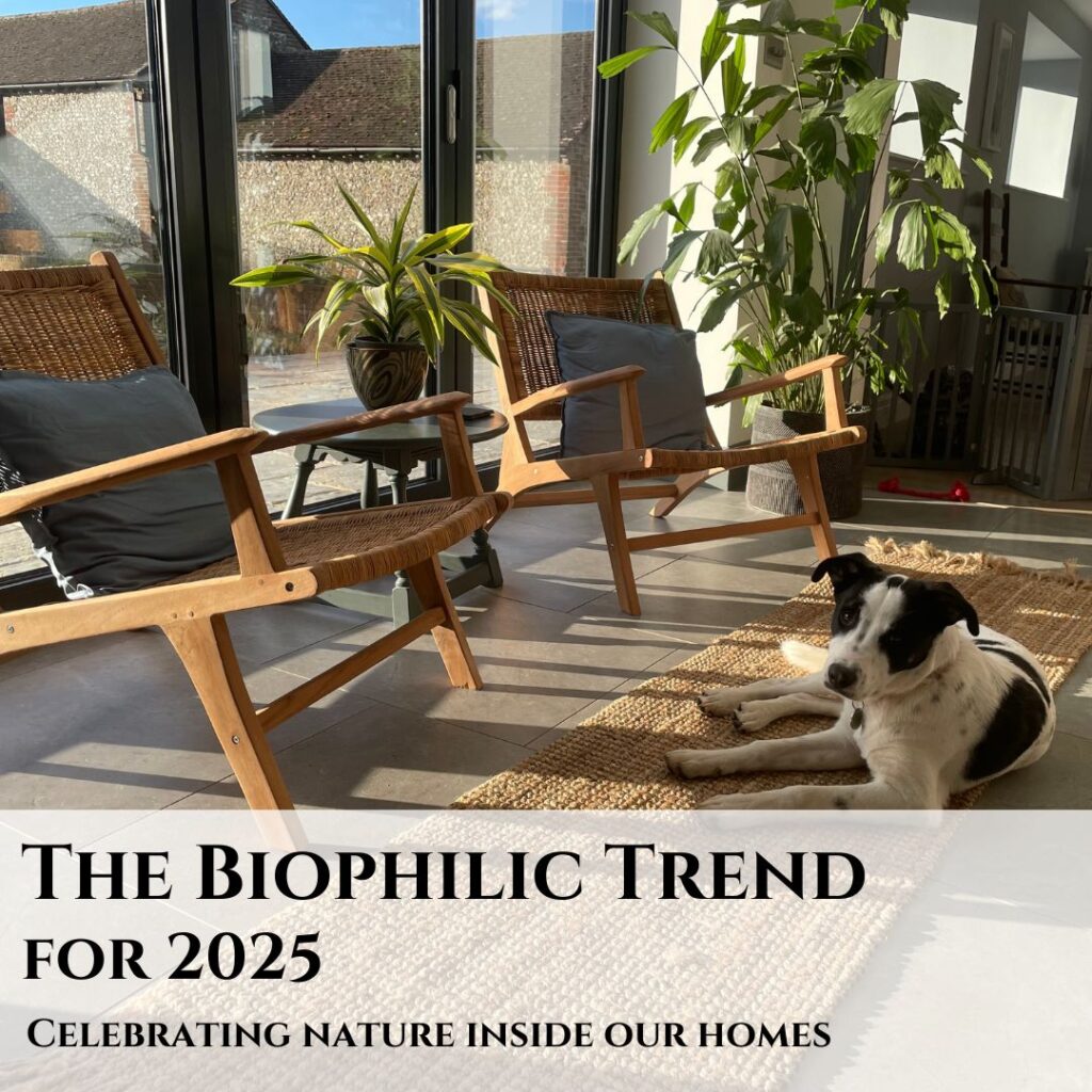 Two rattan chairs in front of a large window surrounded by plants. Dog sat on rug. Biophilic design