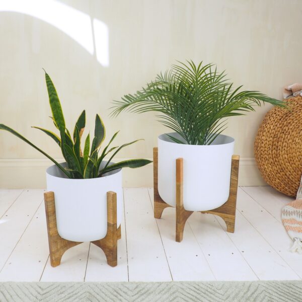 set of two white plant pots in wooden stands with green rug and plants