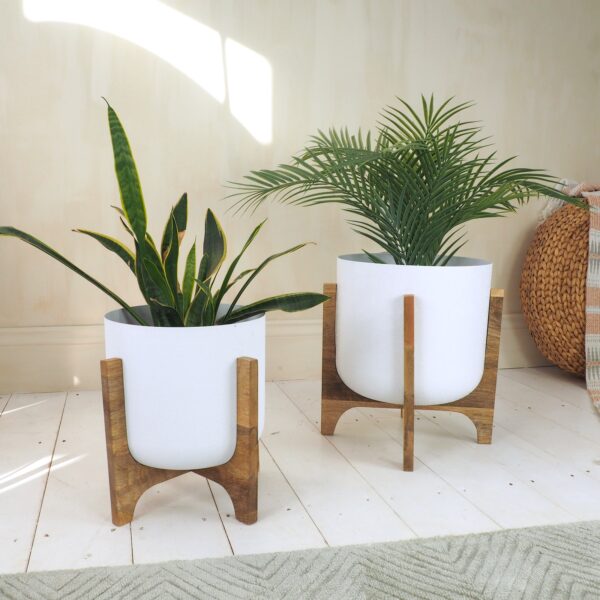 indoor white plant pot on mango wood stand with velvet green rug