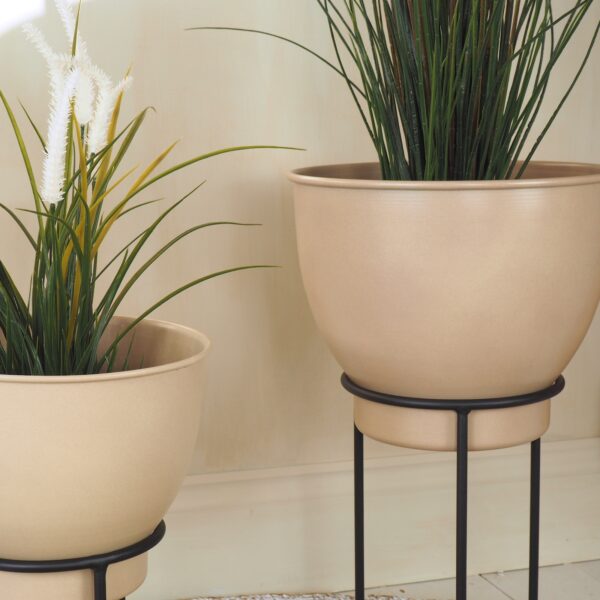 detailed photo of indoor cream plant pots with green plants
