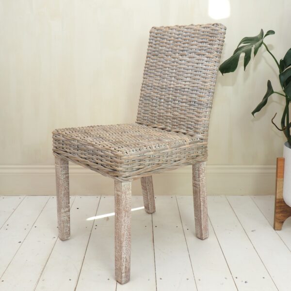 Whitewash Dining Chair with plant